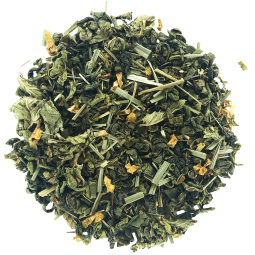 Thé Vert Bio Fresh Detox -...