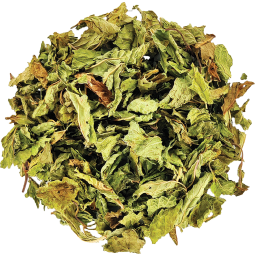 Infusion Bio Menthe Nanah