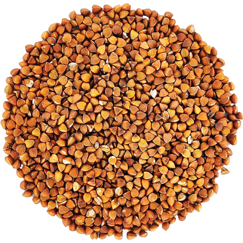 Infusion Bio Sobacha Infusion Bio Sobacha