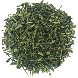 thé vert bio sencha de chine doux végétal et légèrement acidulé