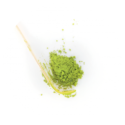 Thé vert Bio Matcha Cuisine Japon en poudre