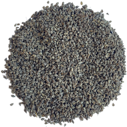 Infusion Bio anis vert d'Anjou